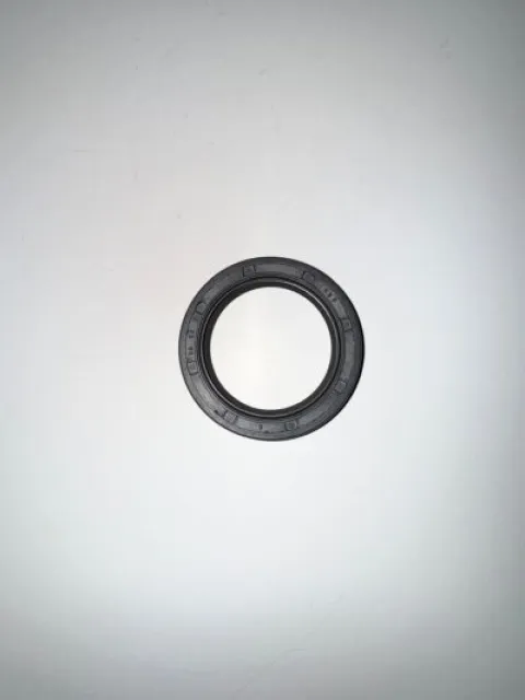 Oil seal