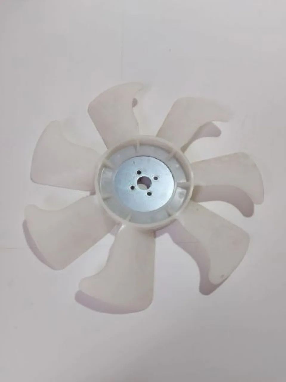 Radiator fan (winter)