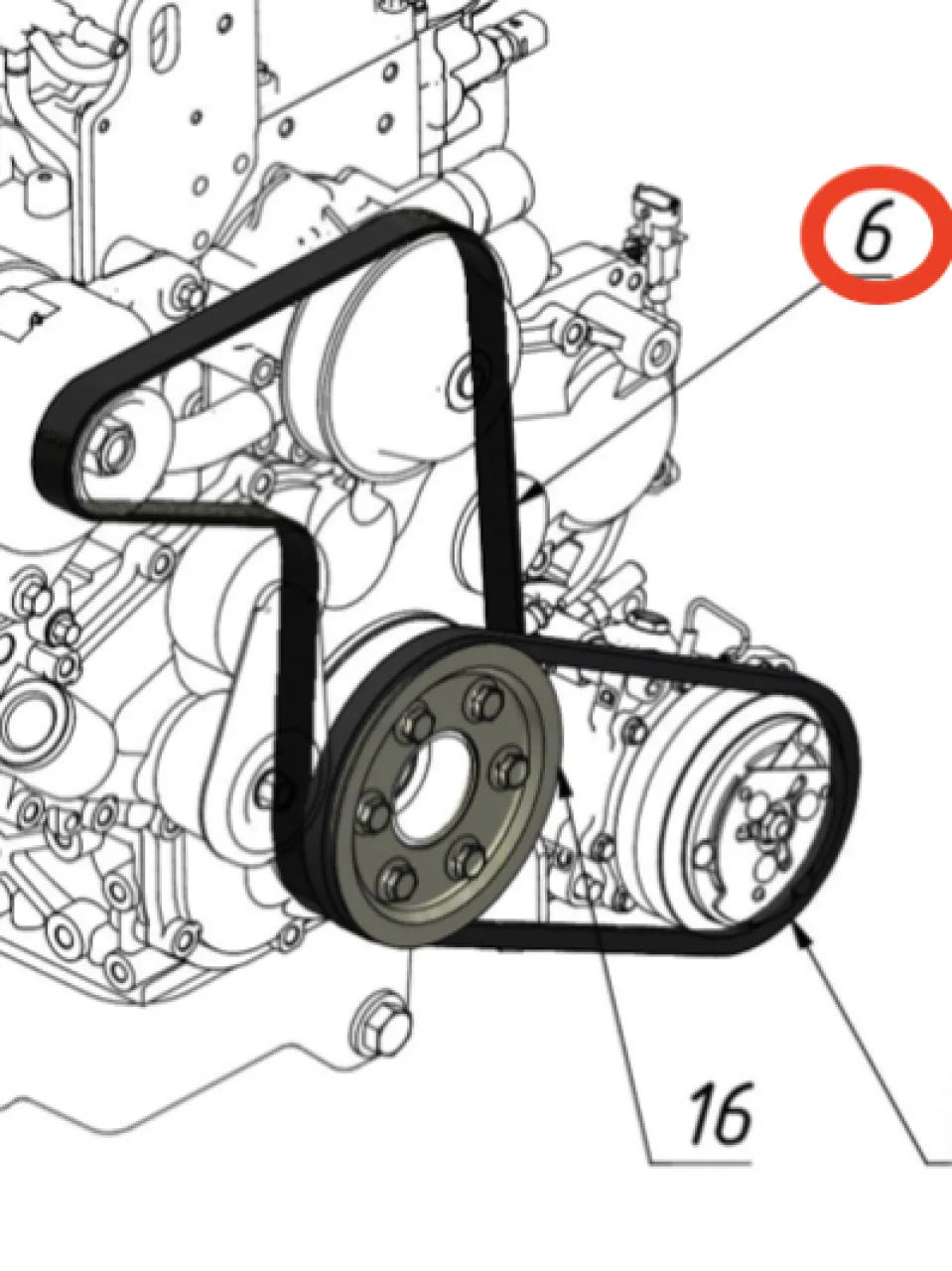Belt