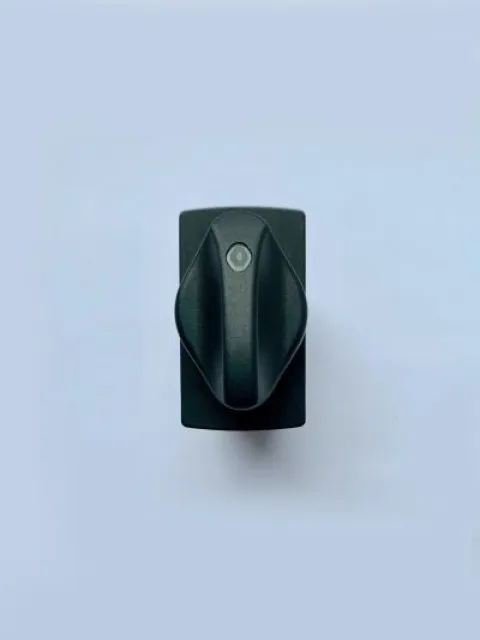 Rotary switch (new style)