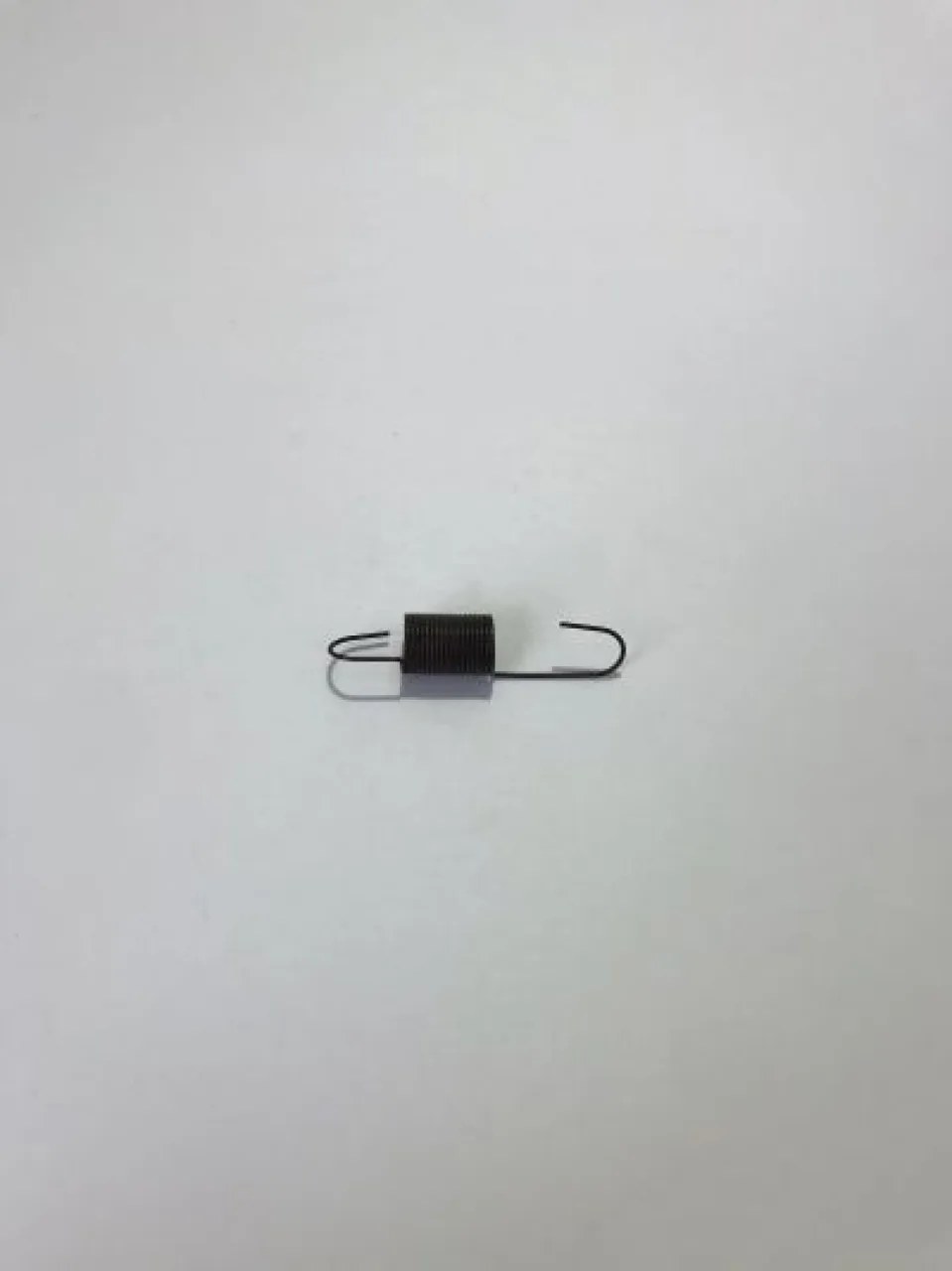 Exhaust spring - 10.0322