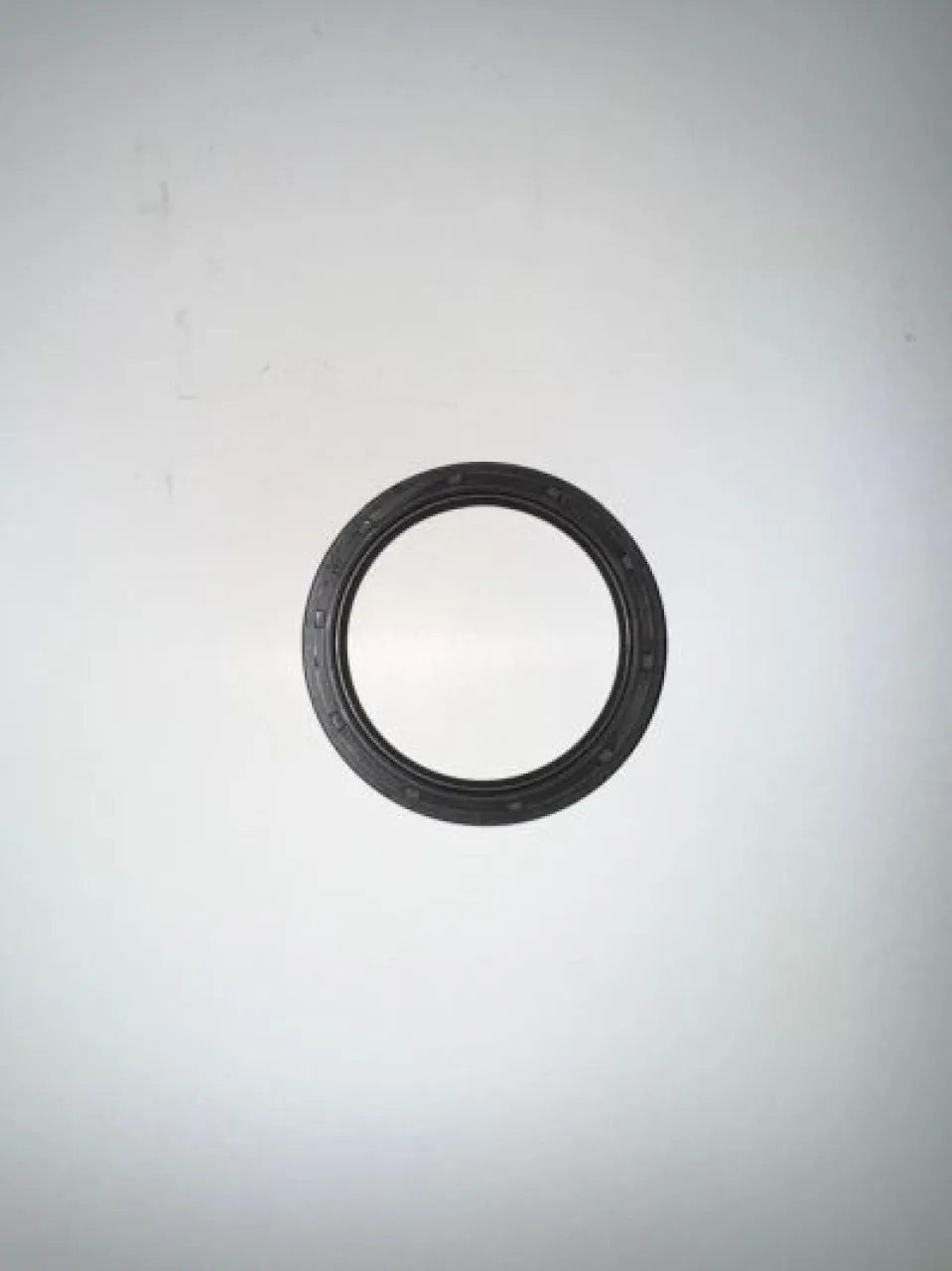 Oil seal