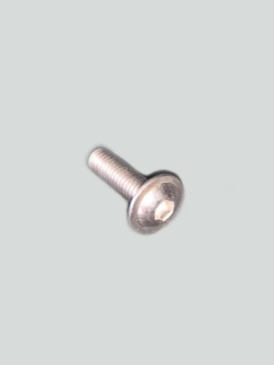 Panel bolt