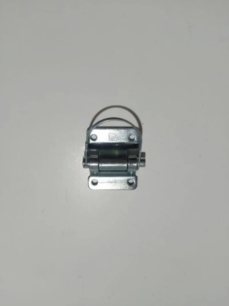 Door hinge (quick-release)