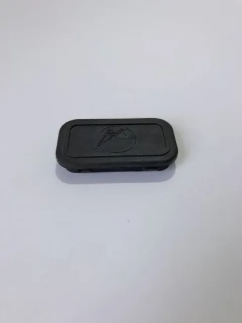 Front door plug