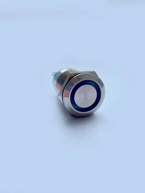 Pushbutton ON-OFF switch