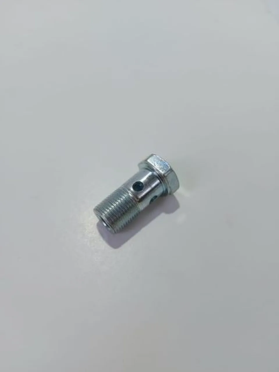 Hollow bolt