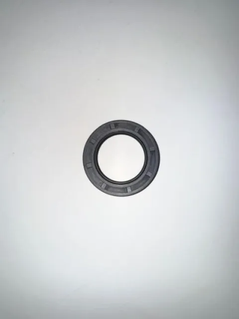 Oil seal