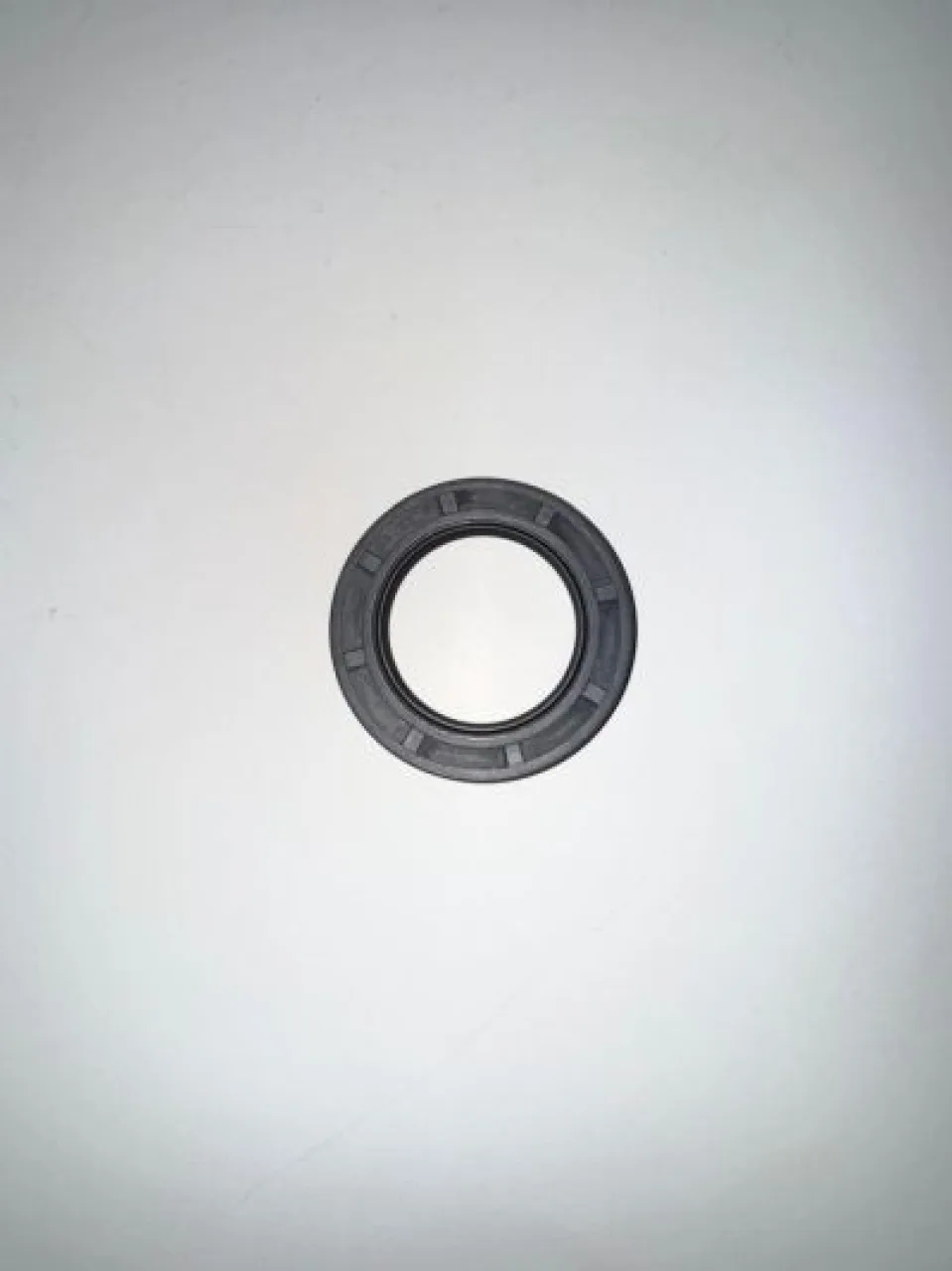 Oil seal